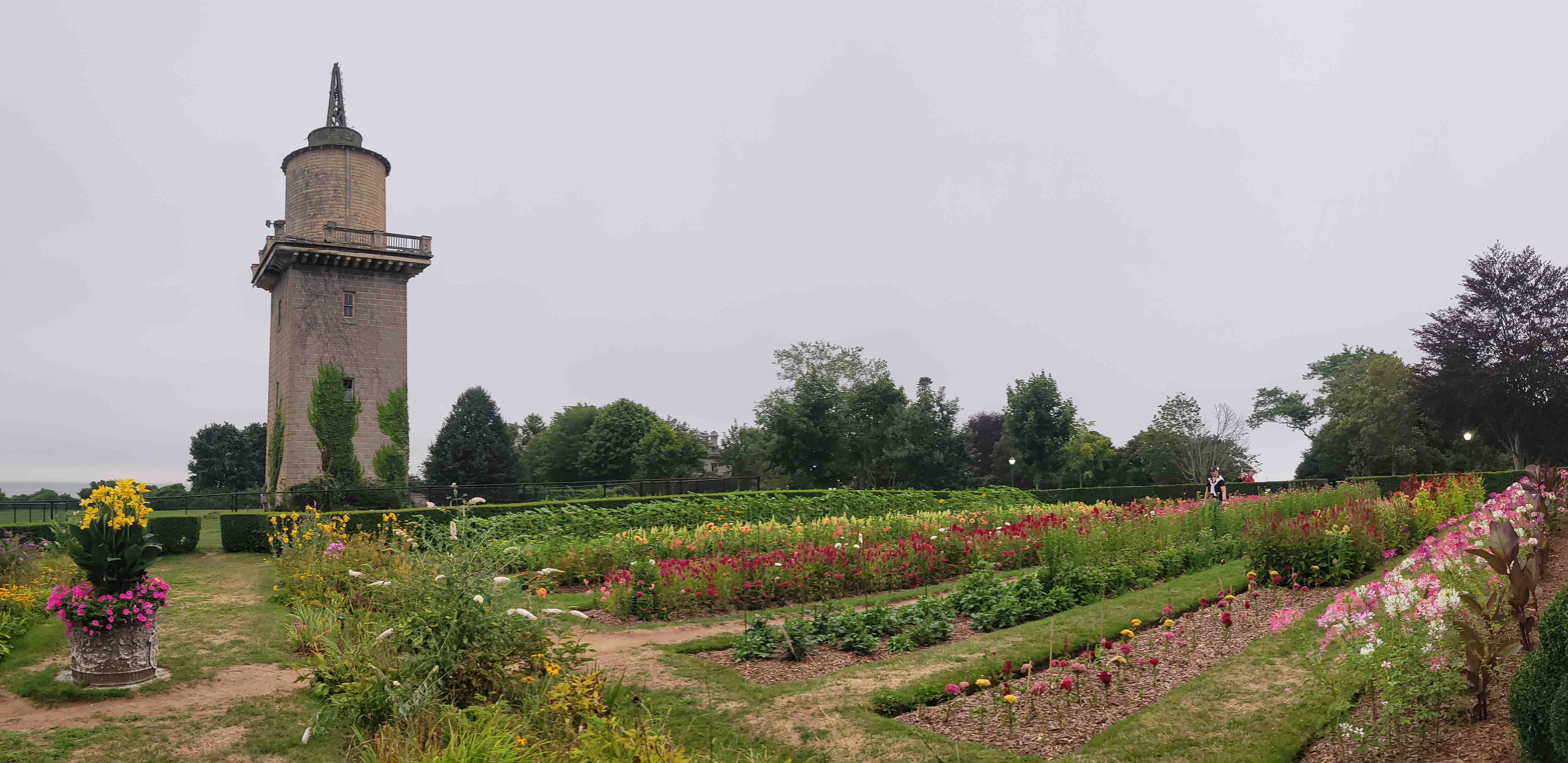 2023-08-17 Eolia Mansion cutting.jpg